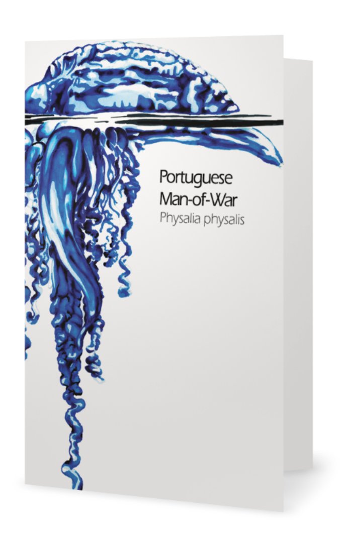 Portuguese man of war drawing greeting card