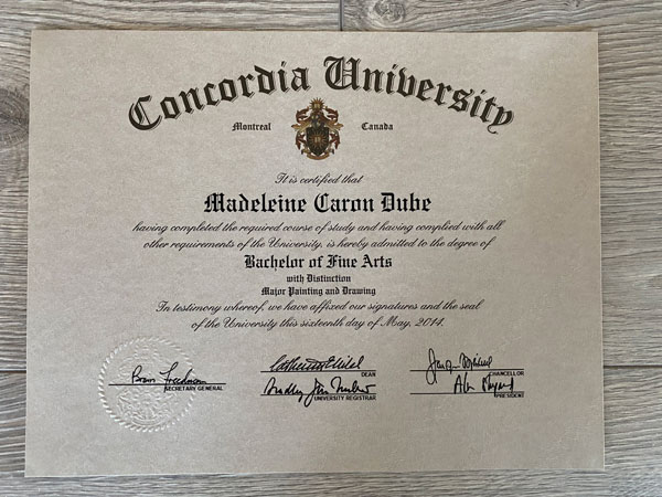 Painting and drawing fine arts diploma