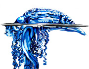 Portuguese man of war drawing (jellyfish)